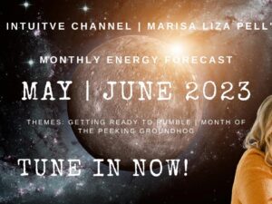 MAY 2023 ENERGY UPDATE: INTUITIVE MARISA LIZA PELL